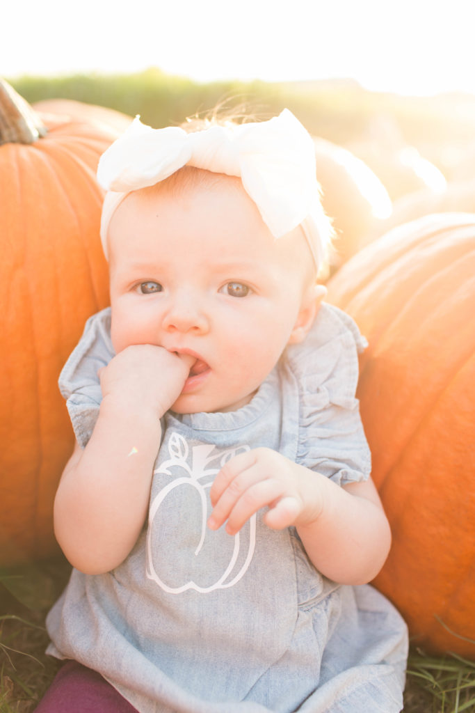 Pumpkin Patch Pictures | Becca Sue Photography - beccasuephotography.com