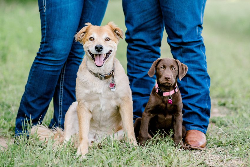 Surprise Spring Proposal (Denton, Texas) | Becca Sue Photography - www.beccasuephotography.com