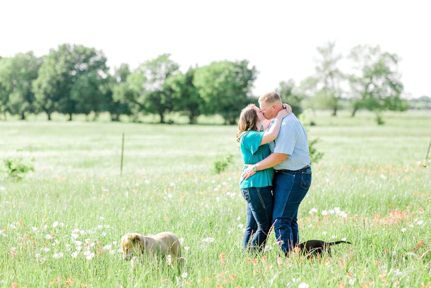 Surprise Spring Proposal (Denton, Texas) | Becca Sue Photography - www.beccasuephotography.com