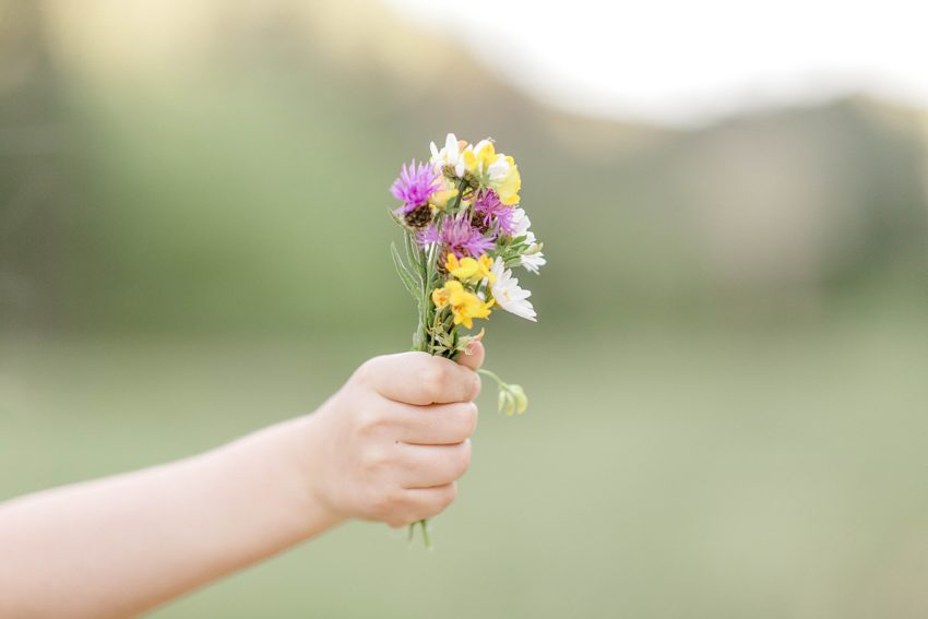 Wildflower Family Session (Glendale Oregon) | Becca Sue Photography - www.beccasuephotography.com