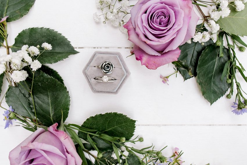 https://beccasuephotography.com/campbell-cincotta-wedding/
